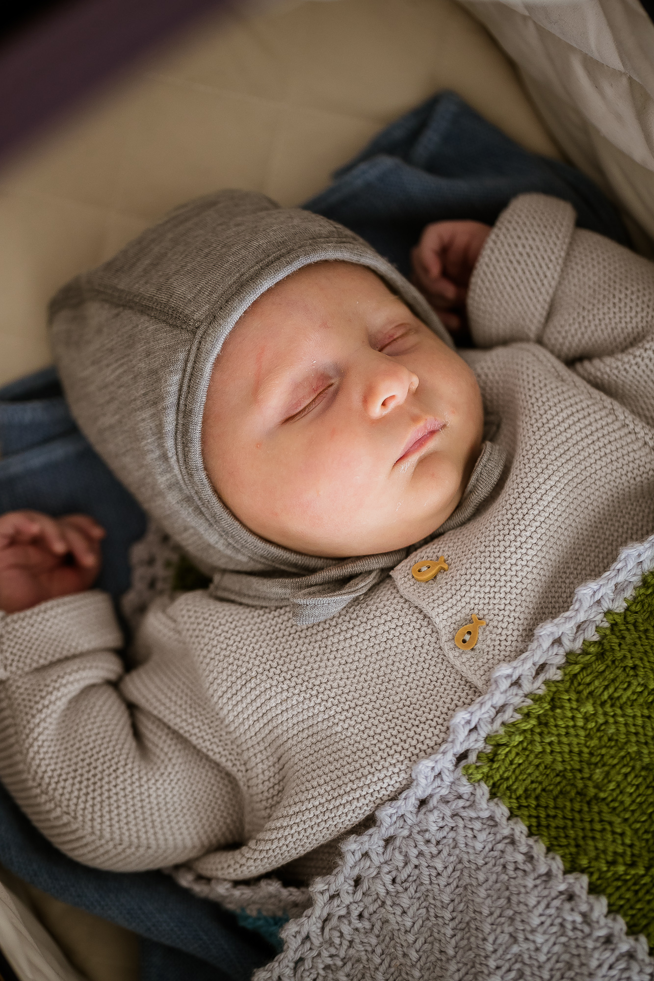 Export x3 1DX28345 Familienfotoshooting 2019 Hefti